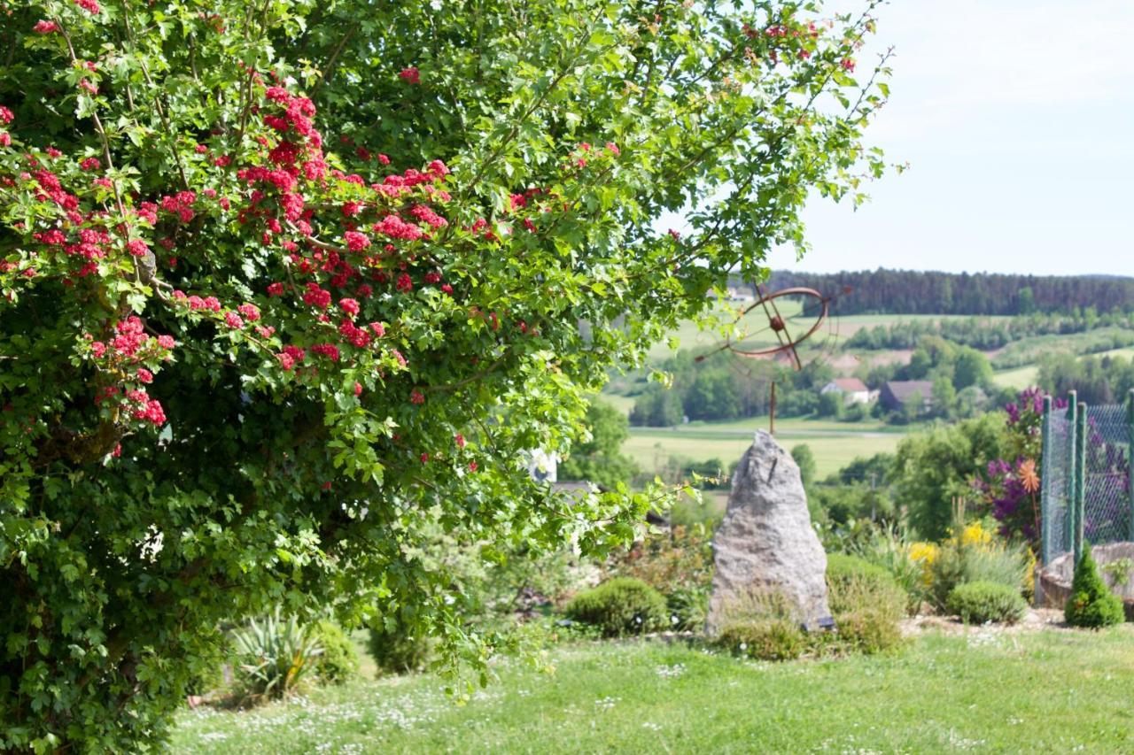 Ferienwohnungen Seebauer Nittenau Esterno foto